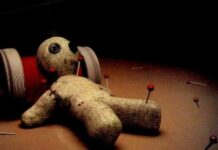 Cadu haqda nələri bilirik?