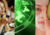 Hansı bürc nə yeməlidir? – Maraqlı proqnoz