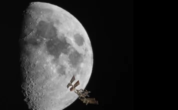 Ay ətrafında ilk dövrə vuran insanlar deyil, tısbağalar olublar