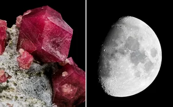 Aydan götürülmüş nümunələrdə elə maddə aşkarlandı ki…