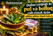 Dəfnə yarpağı ilə pul və bolluq cəlb etmək ritualı.